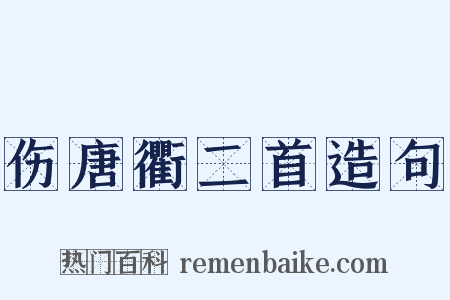 伤唐衢二首造句是什么意思的图片